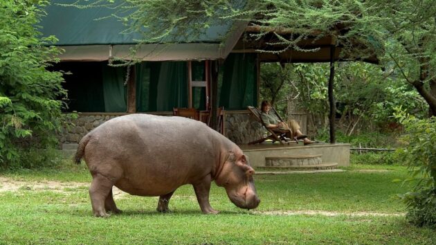 Liwonde National Park