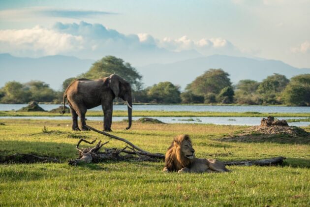 Liwonde National Park