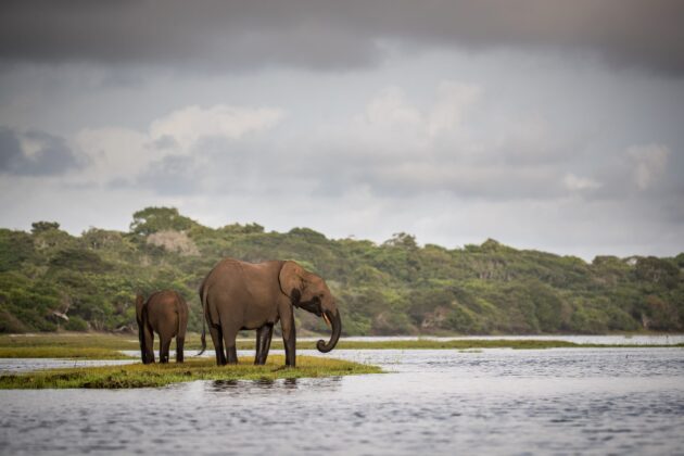 Loango National Park