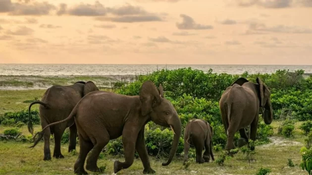 Loango National Park