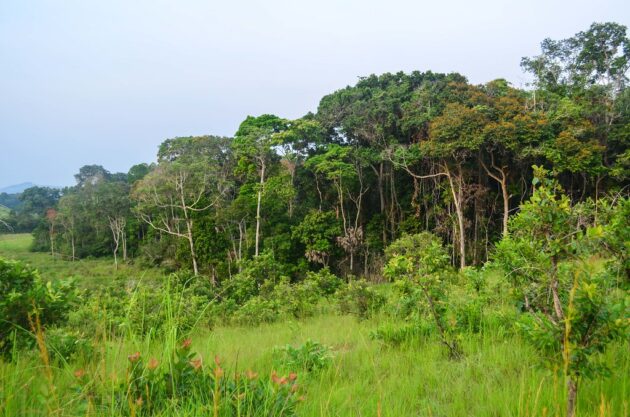 Lopé National Park