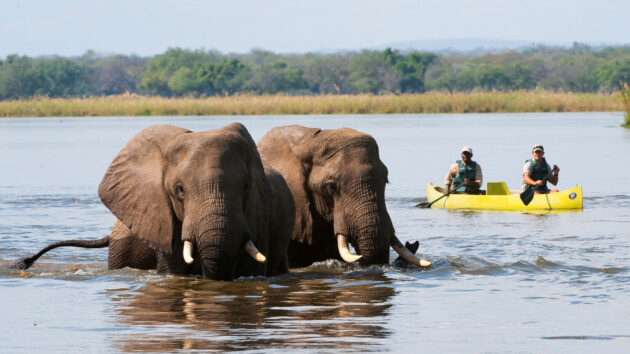 Lower Zambezi National Park