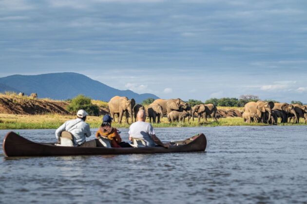 Lower Zambezi National Park