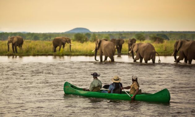 Lower Zambezi National Park