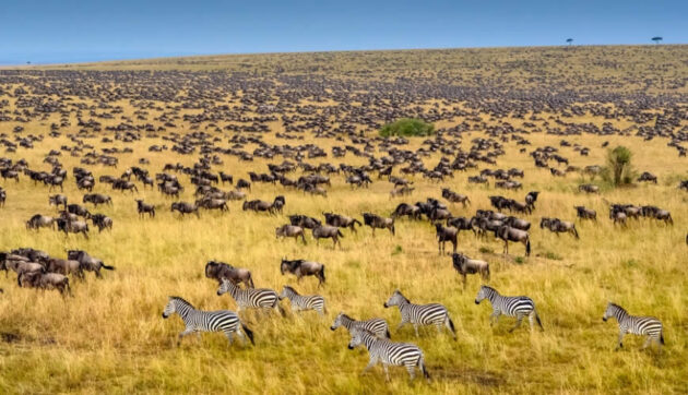 Maasai Mara National Reserve