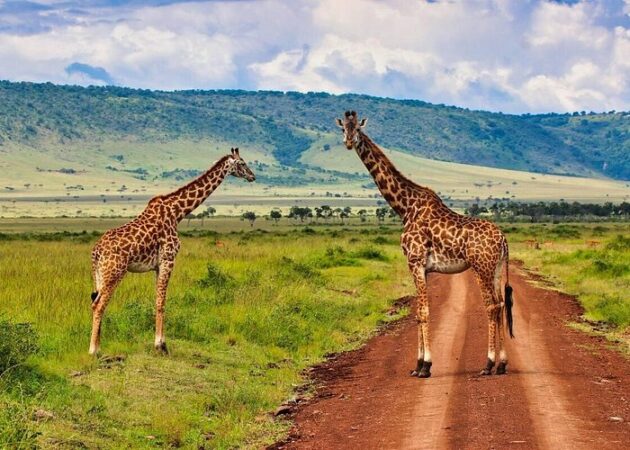 Maasai Mara National Reserve