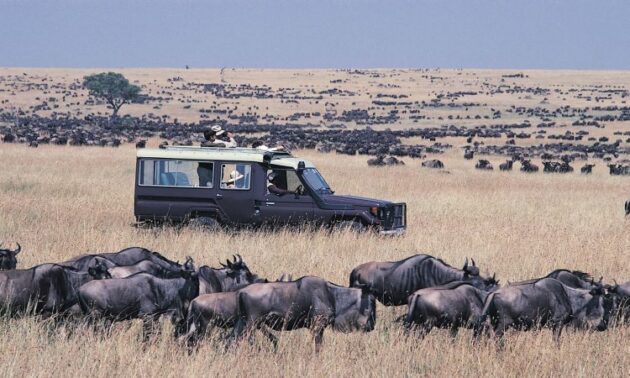 Maasai Mara National Reserve