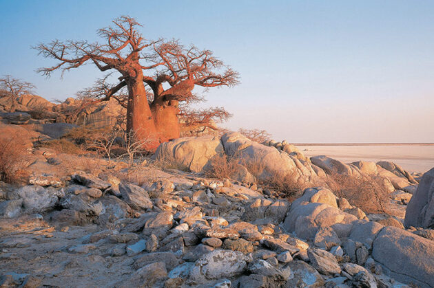 Makgadikgadi Pans