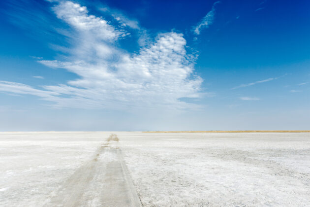 Makgadikgadi Pans