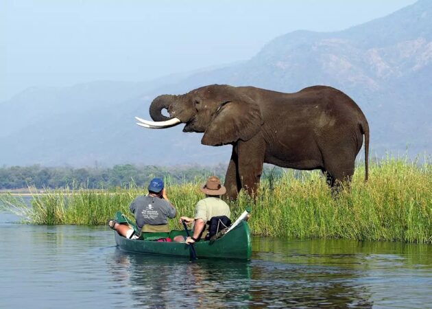 Mana Pools National Park
