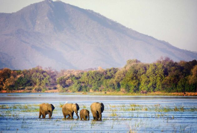 Mana Pools National Park