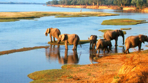 Mana Pools National Park