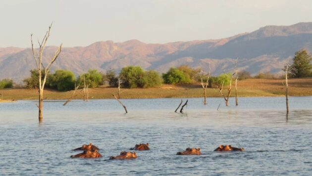 Matusadona National Park