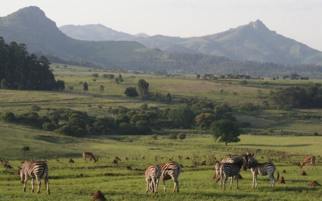 Mlilwane Wildlife Sanctuary