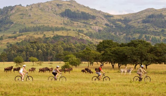Mlilwane Wildlife Sanctuary