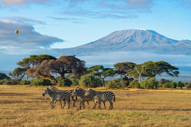 Mount Kenya National Park