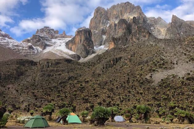 Mount Kenya National Park