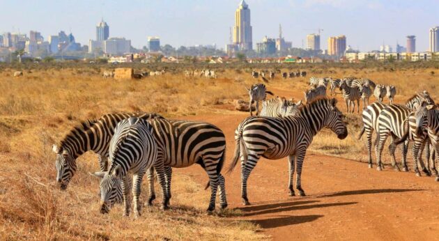 Nairobi National Park