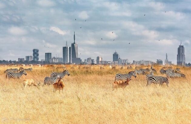 Nairobi National Park