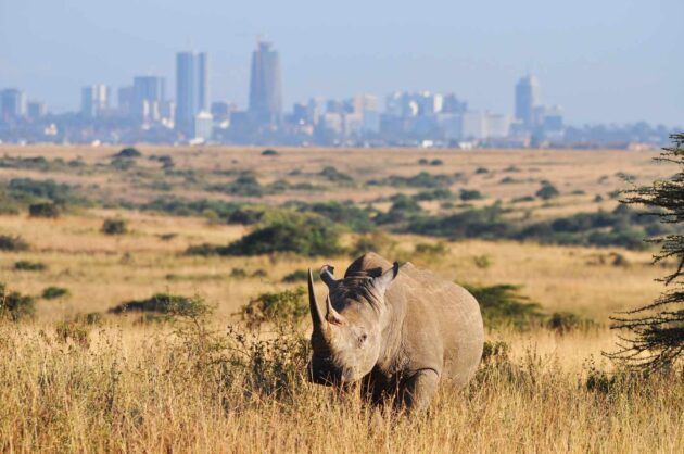 Nairobi