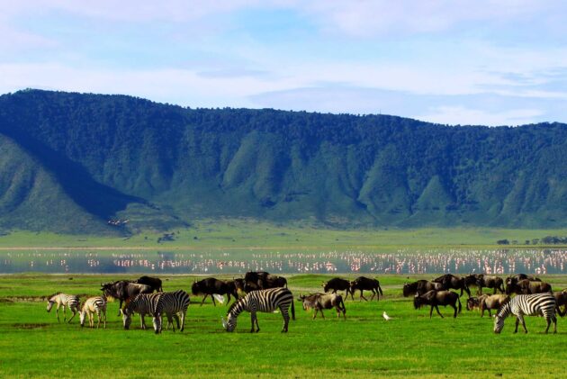 Ngorongoro Crater