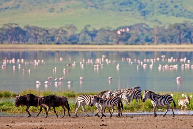 Ngorongoro Crater