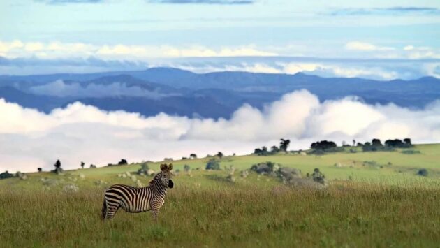 Nyika National Park