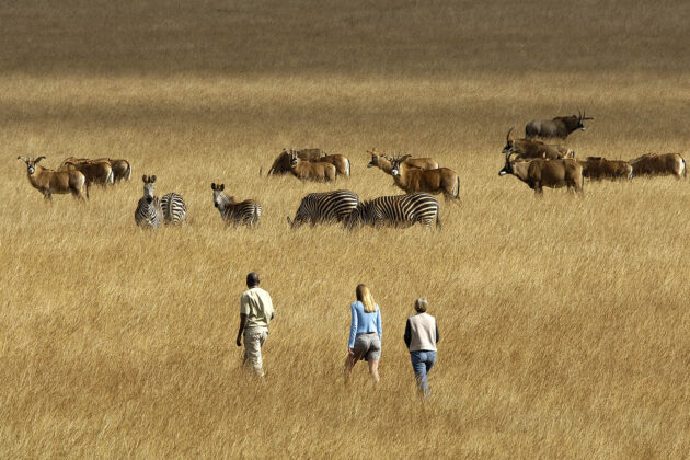 Nyika National Park