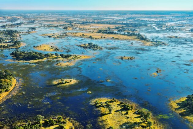 Okavango Delta