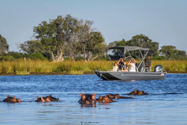 Okavango Delta