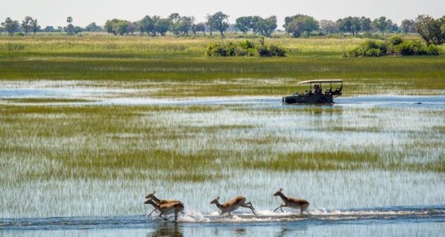 Okavango Delta