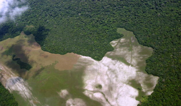 Salonga National Park