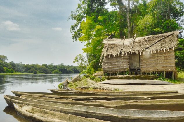 Salonga National Park