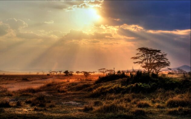South Luangwa National Park