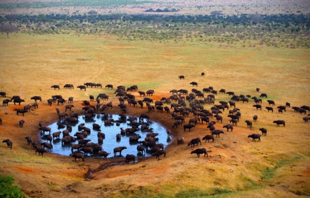 Tsavo East National Park