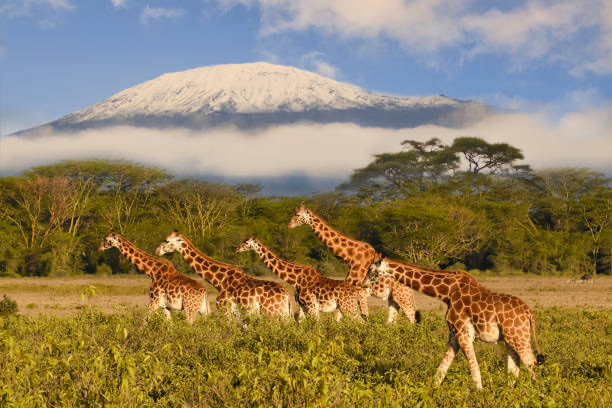 Tsavo East National Park