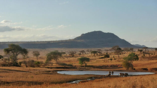 Tsavo West National Park