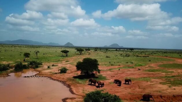 Tsavo West National Park