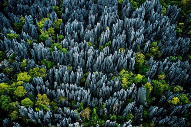 Tsingy de Bemaraha National Park