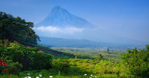 Virunga National Park