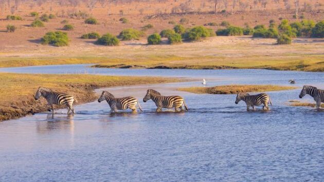 Boma National Park