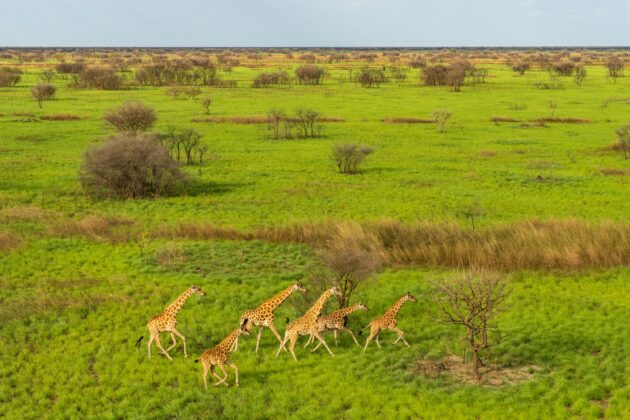 Boma National Park