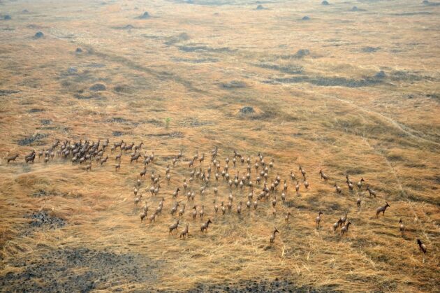 Boma National Park