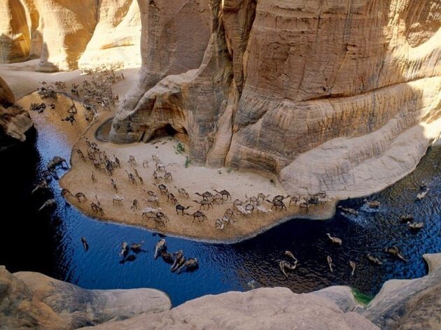 Guelta d'Archei Lake