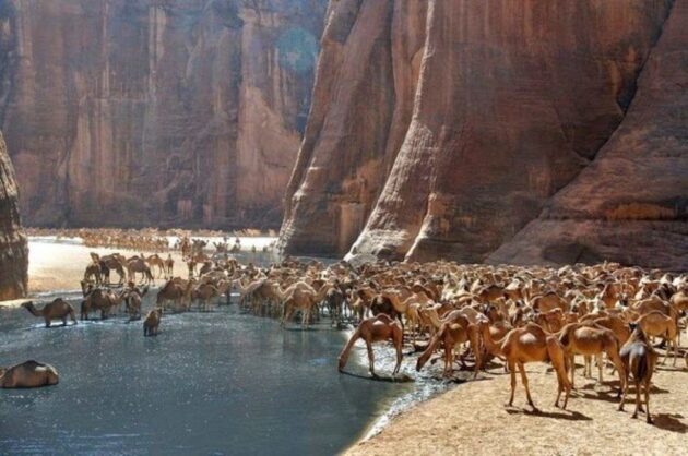 Guelta d'Archei Lake