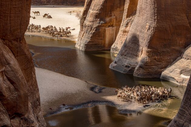 Guelta d'Archei Lake