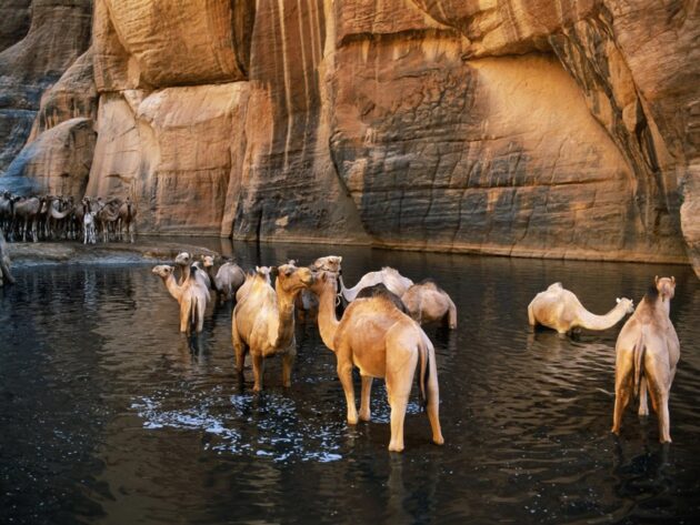 Guelta d'Archei Lake
