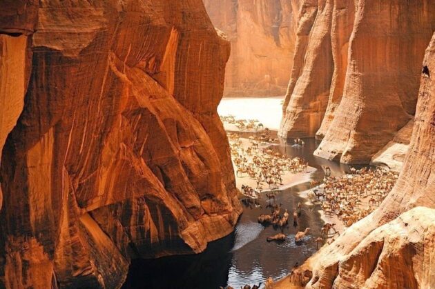 Guelta d’Archei Lake