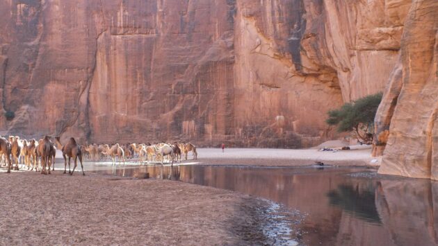 Guelta d'Archei Lake