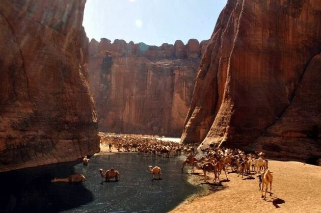 Guelta d'Archei Lake